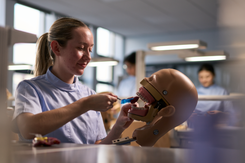 A QUB Dental student during practical teaching